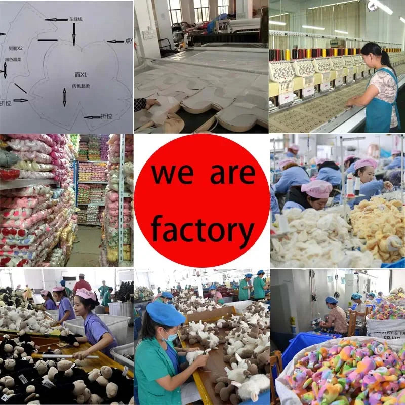 Cactus Baby Toy Talking and Dancing for Kids